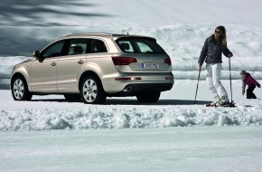 2010 Audi Q7
