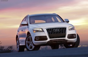 2010 Audi Q5 S-line