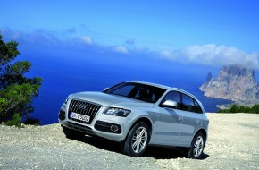 2009 Audi Q5