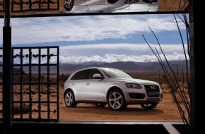 2010 Audi Q5