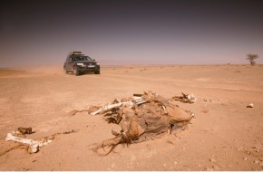 2007 Volkswagen Touareg