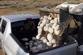 2007 Honda Ridgeline