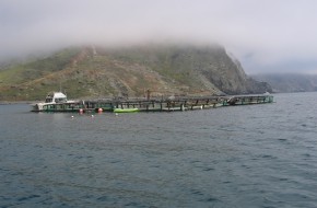 2007 Honda Ridgeline