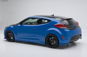 PM Lifestyle Veloster