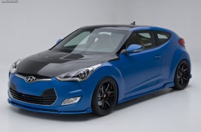 PM Lifestyle Veloster