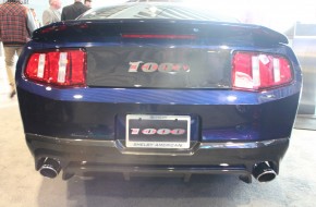 Shelby Booth NYIAS 2012