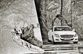 2013 Mercedes-Benz CLS Shooting Brake
