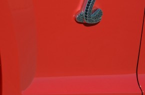 2007 Ford Shelby GT500