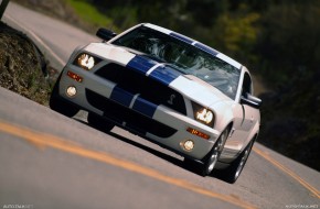 2007 Ford Shelby GT500
