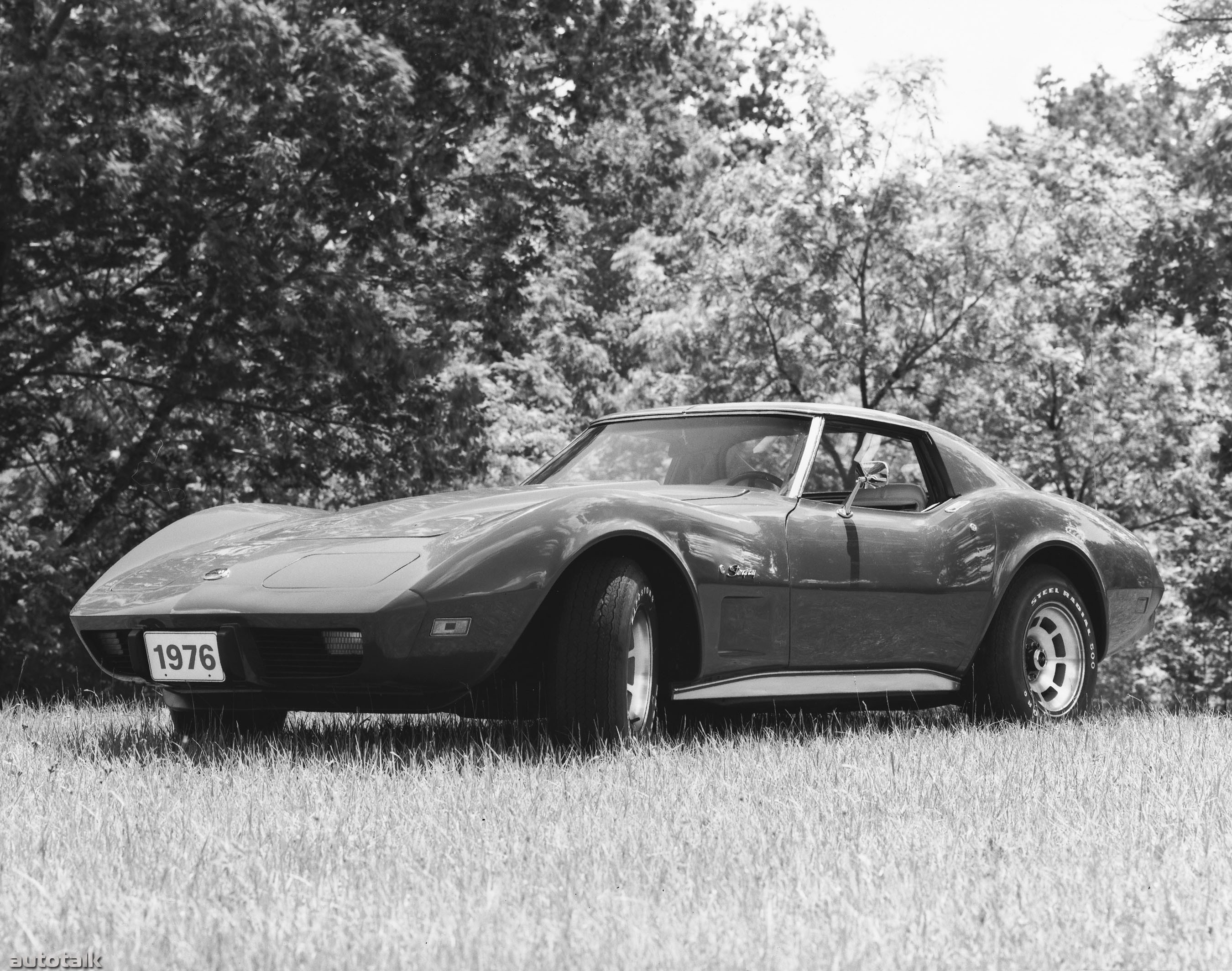 1976 Chevrolet Corvette Stingray