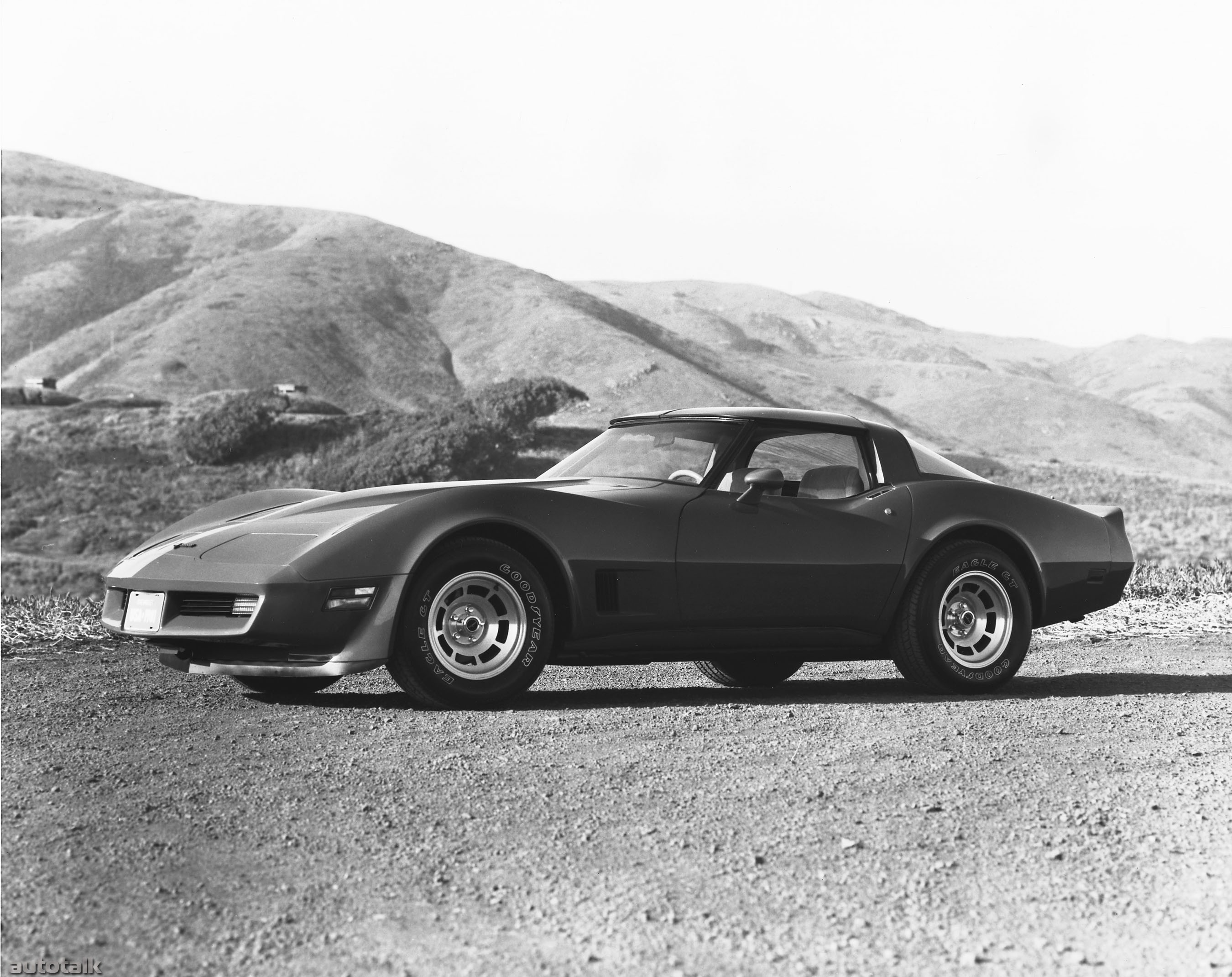 1981 Chevrolet Corvette