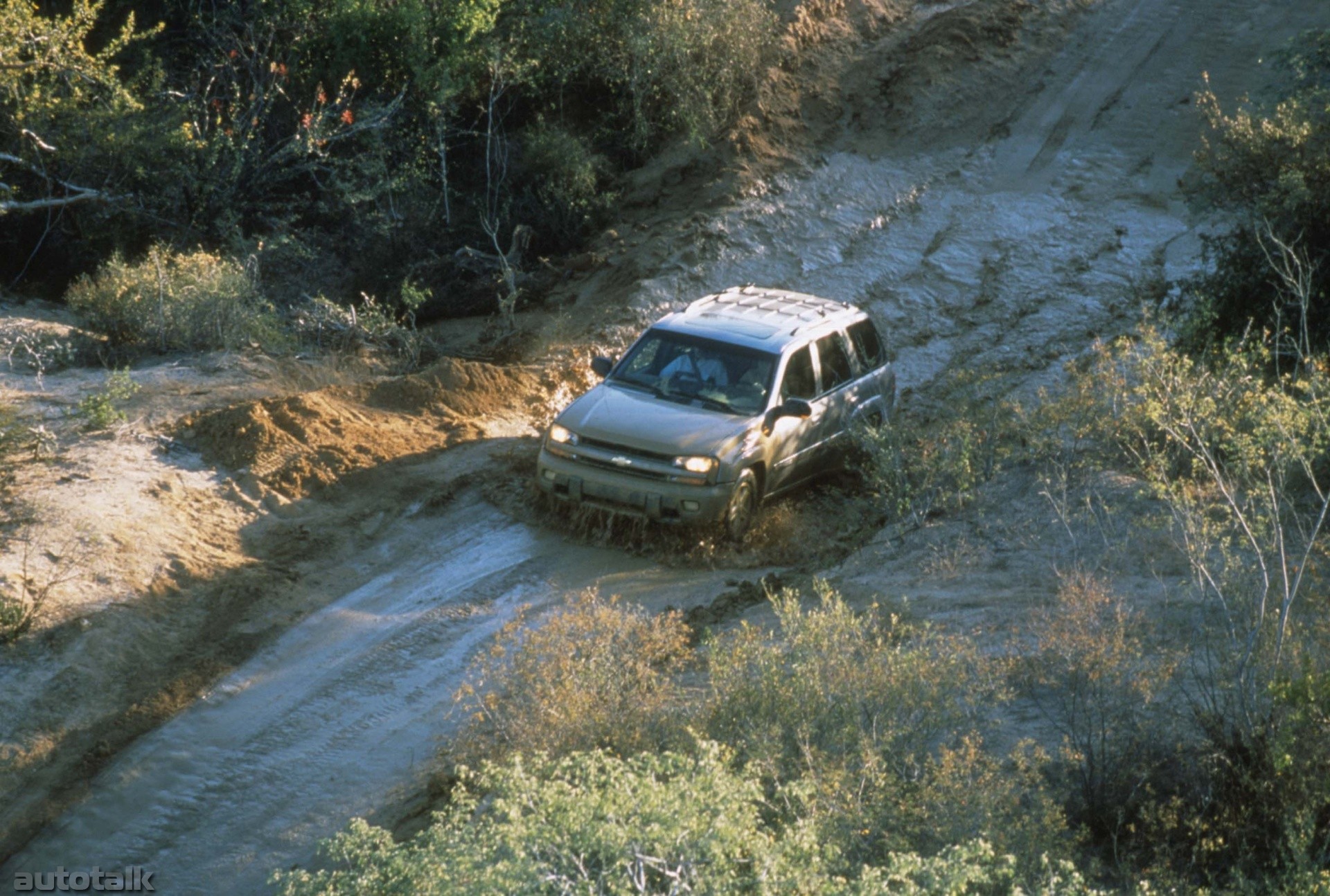 2002 Chevrolet TrailBlazer