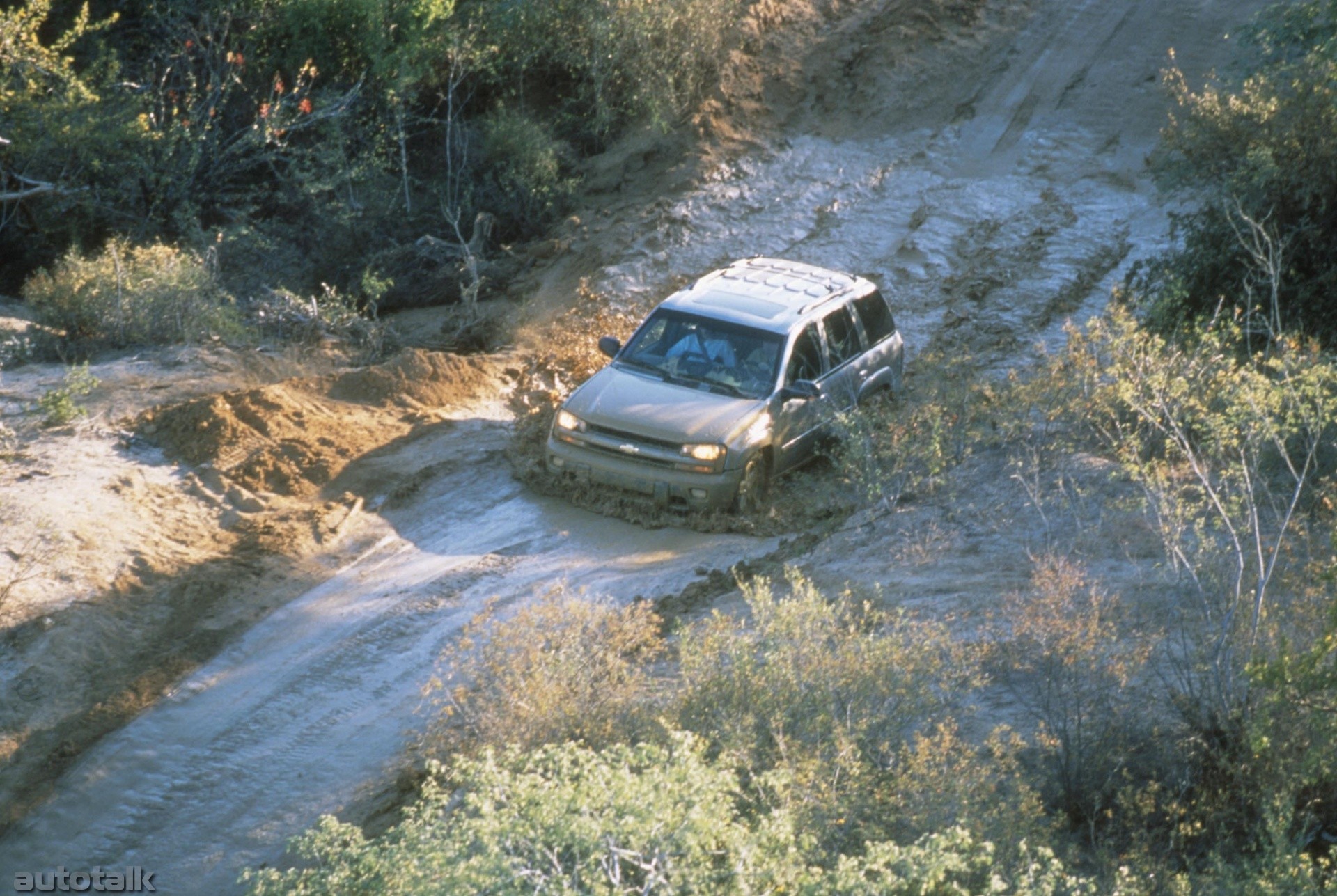 2002 Chevrolet TrailBlazer