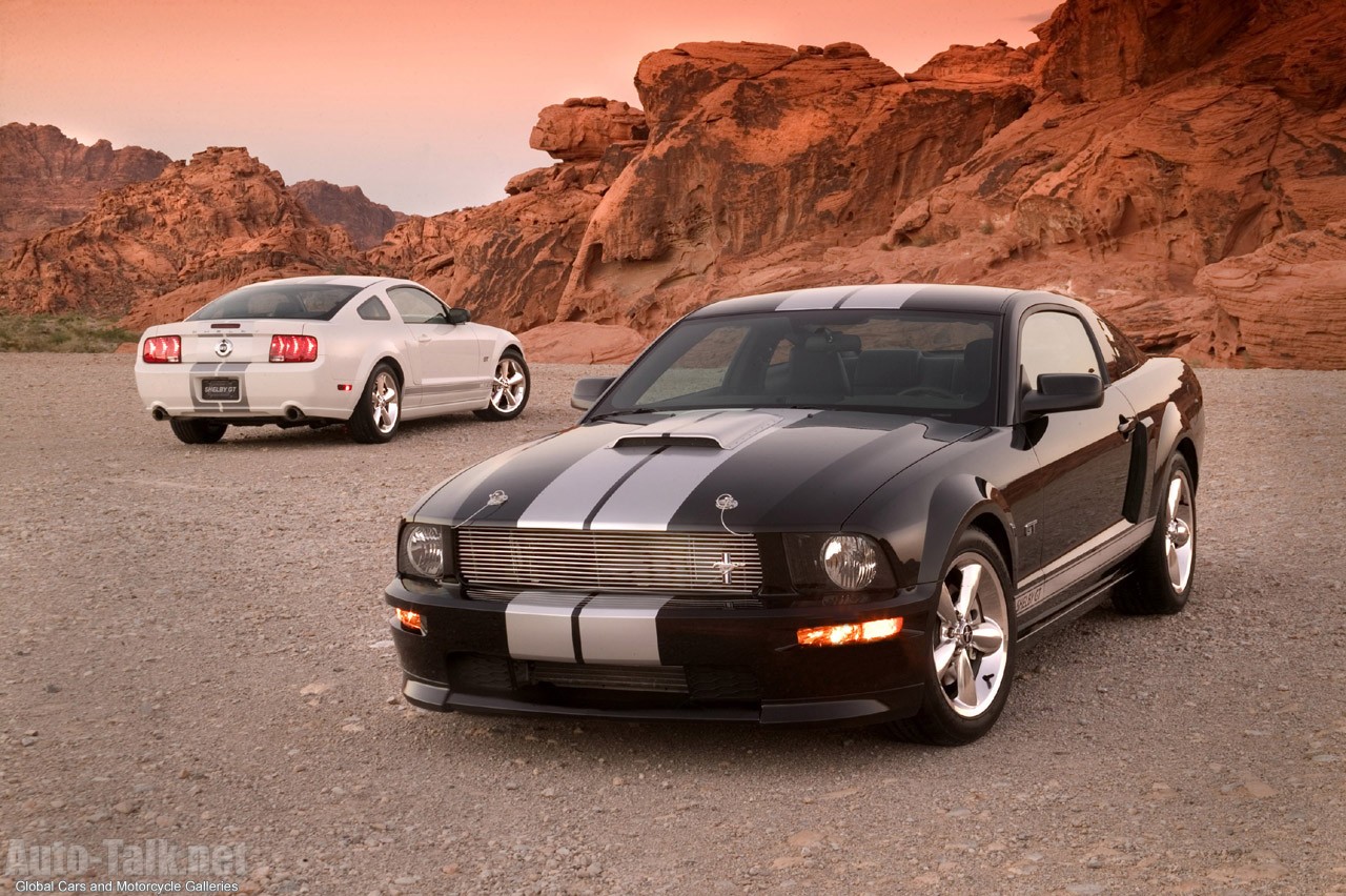 2007 Ford Shelby GT