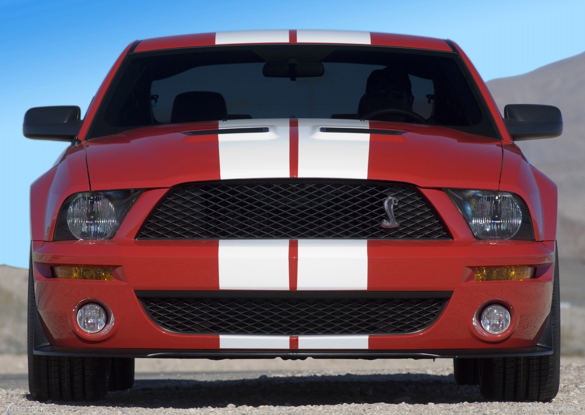 2007 Ford Shelby GT500