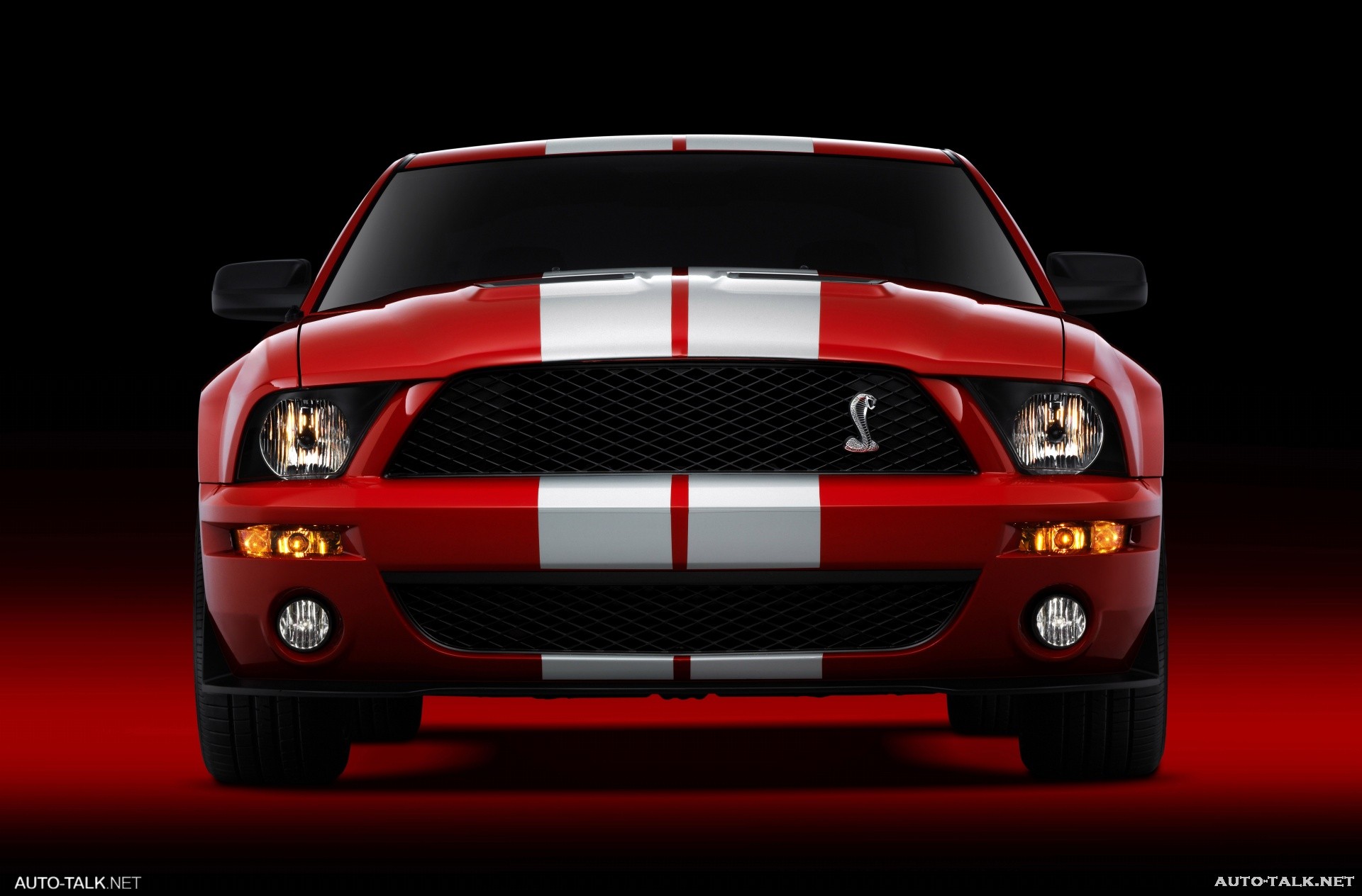 2007 Ford Shelby GT500