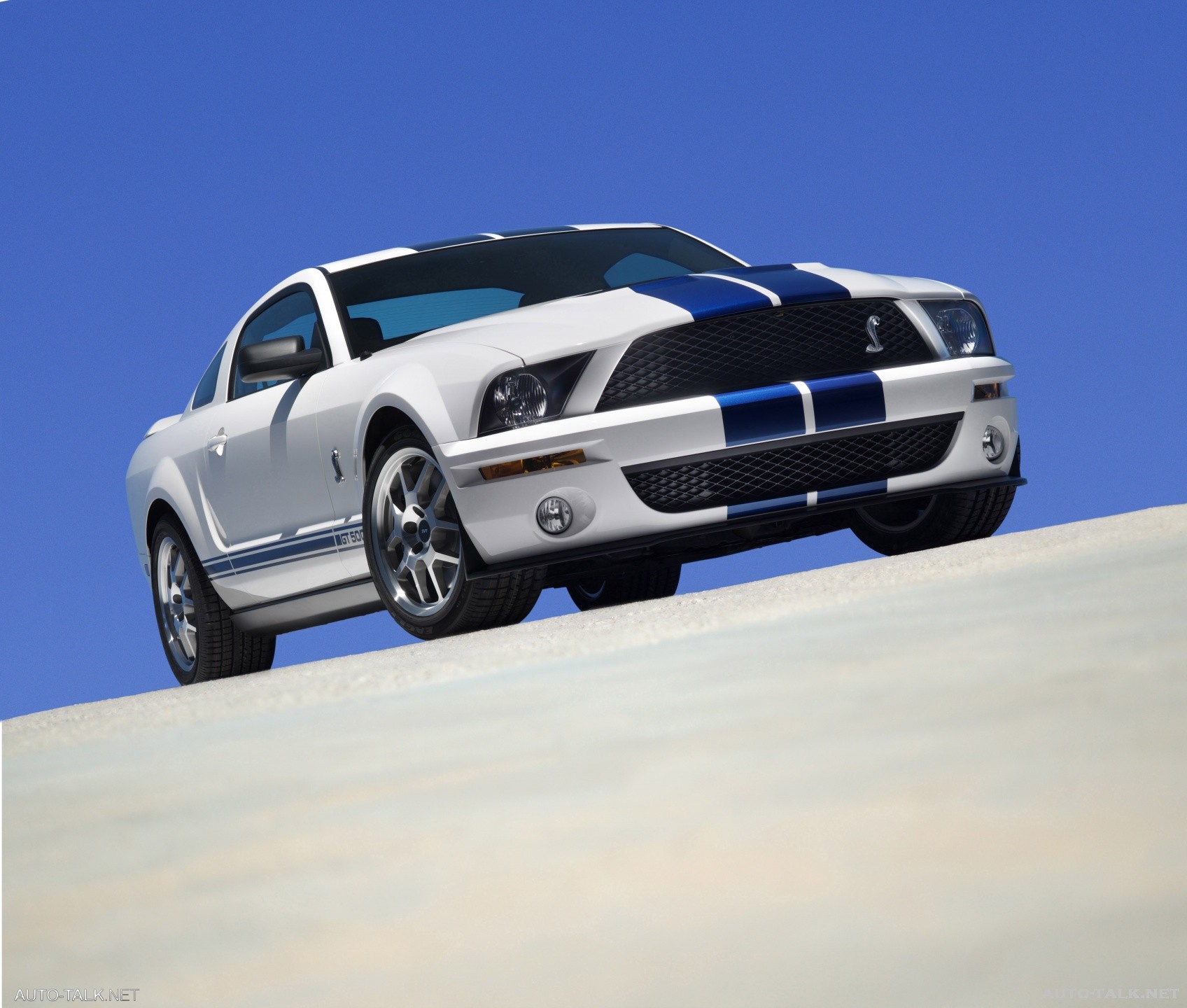 2007 Ford Shelby GT500