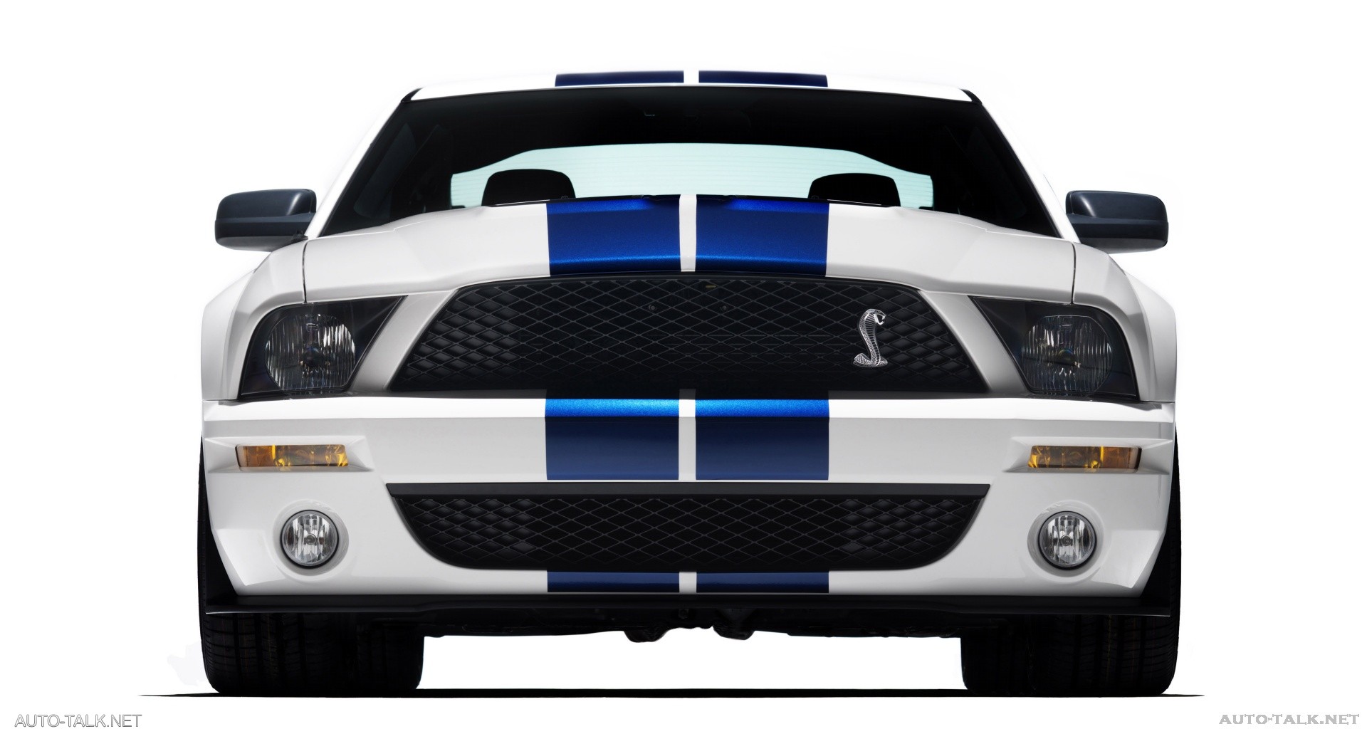 2007 Ford Shelby GT500
