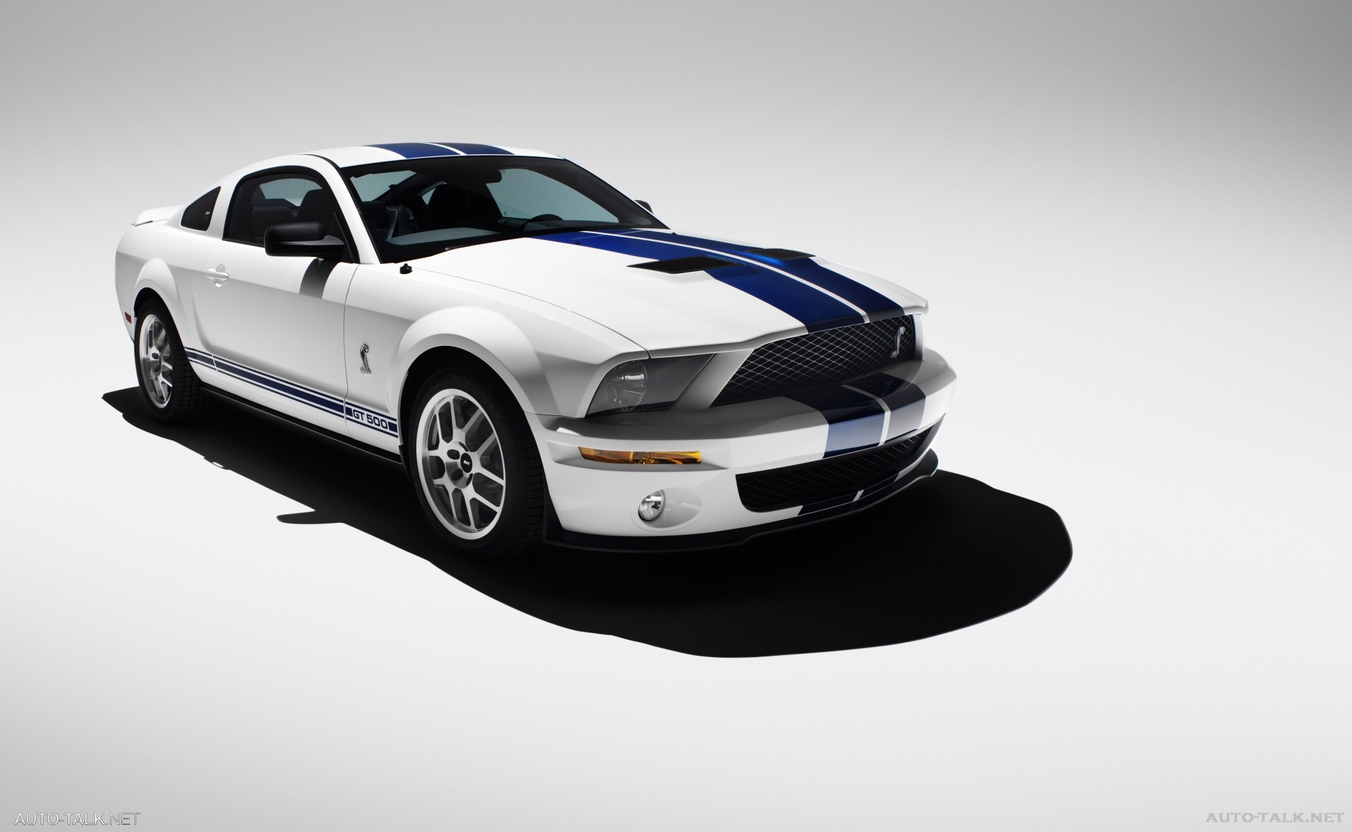 2007 Ford Shelby GT500