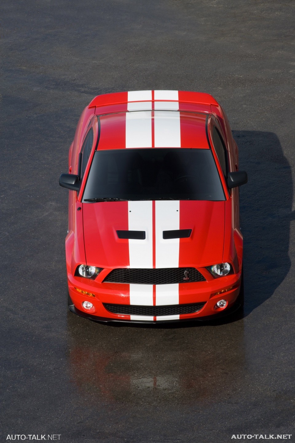 2007 Ford Shelby GT500