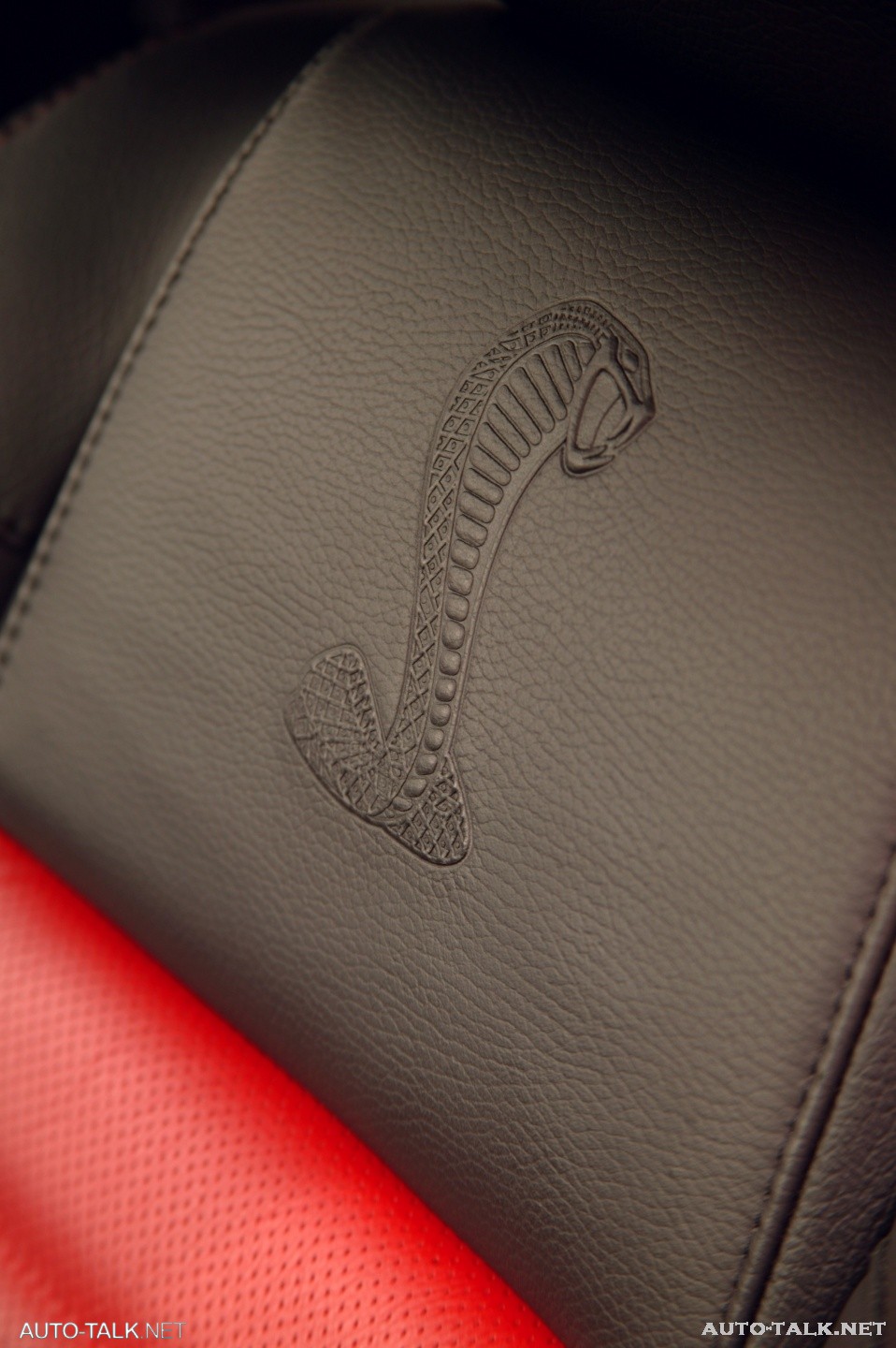 2007 Ford Shelby GT500