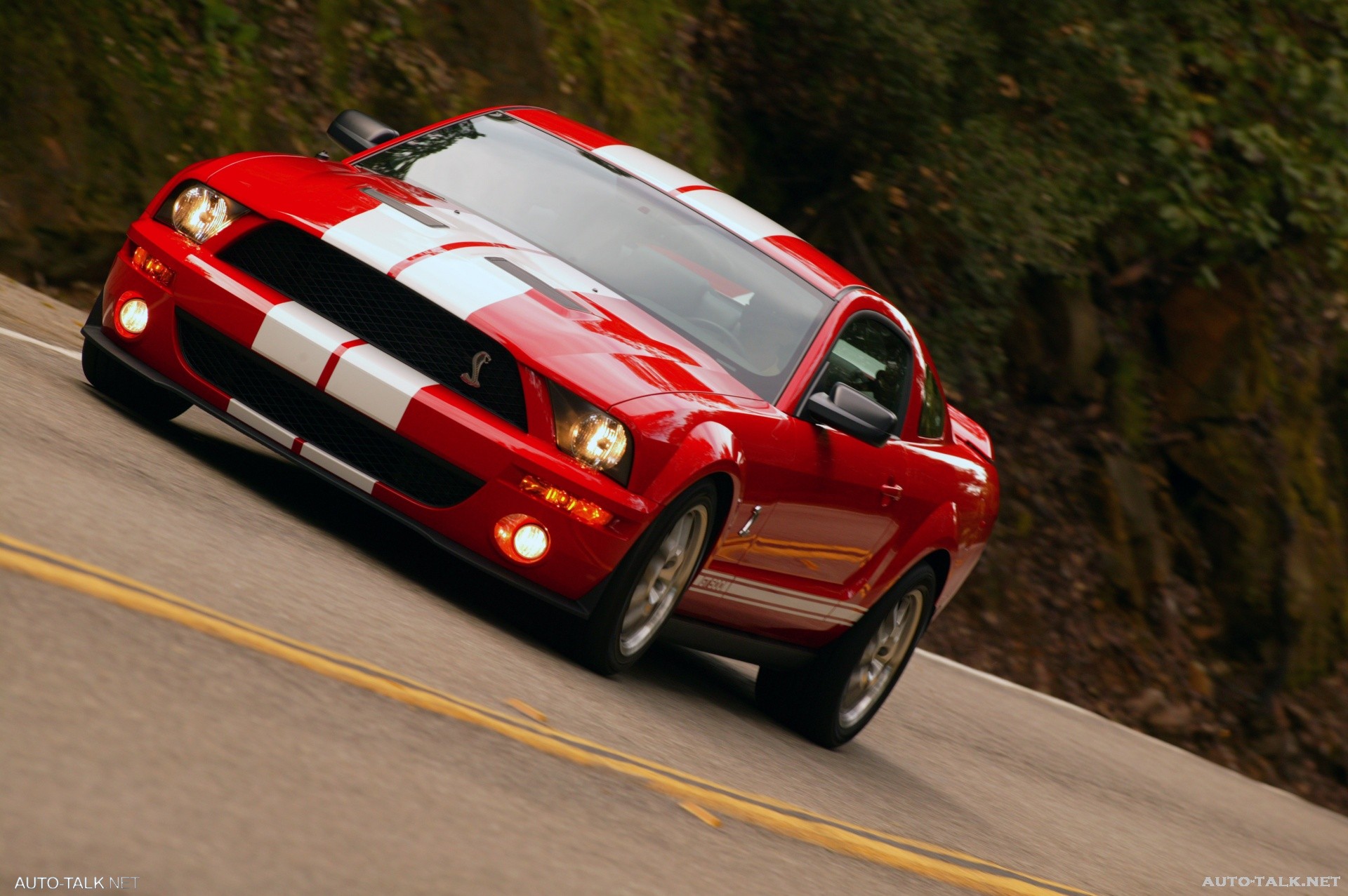 2007 Ford Shelby GT500