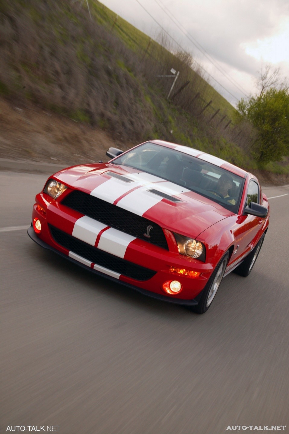 2007 Ford Shelby GT500