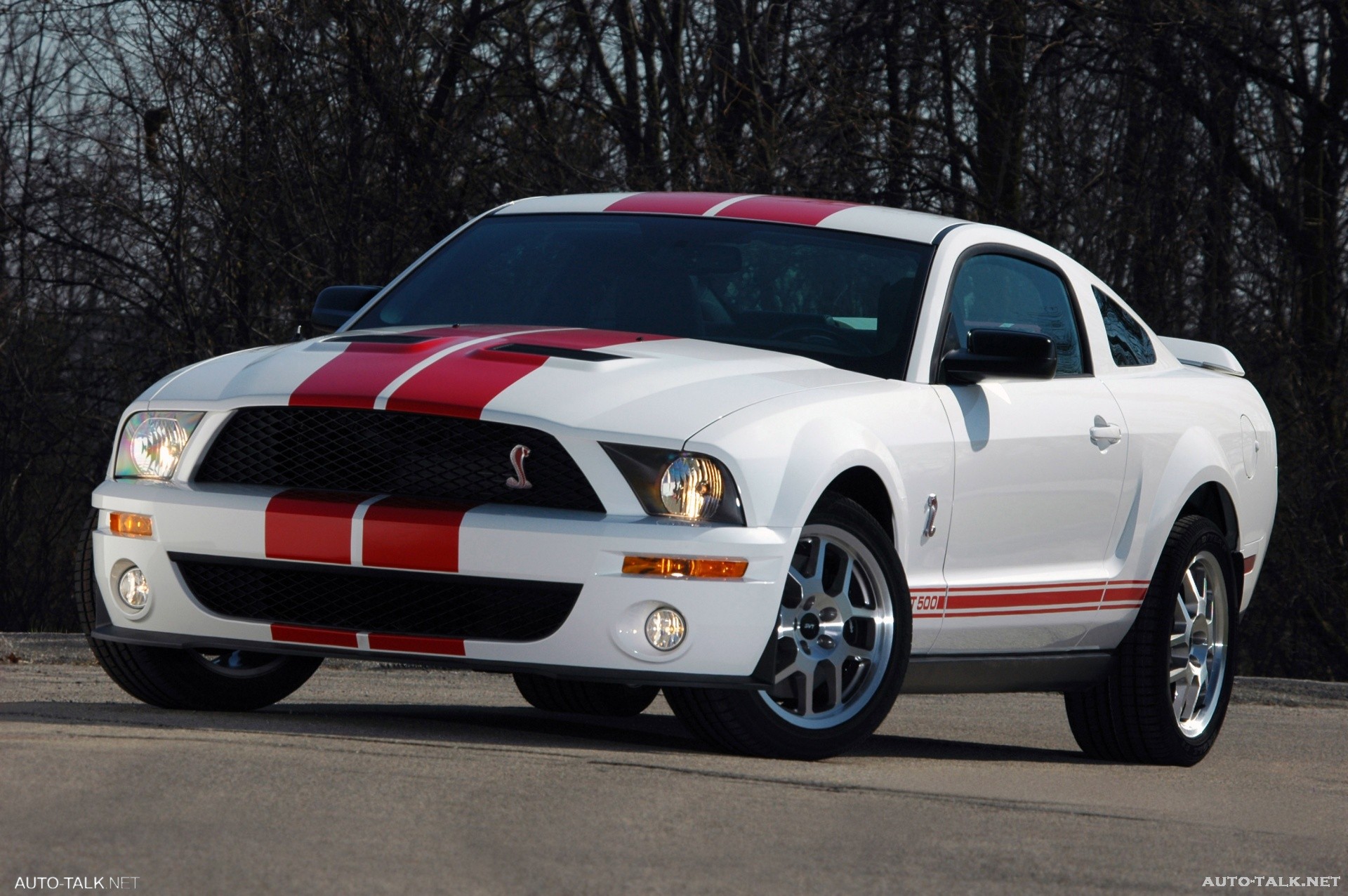 2007 Ford Shelby GT500