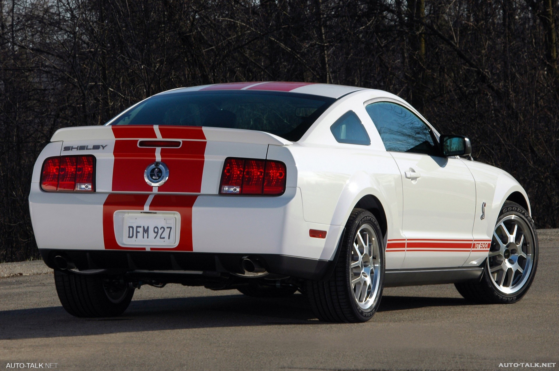 2007 Ford Shelby GT500