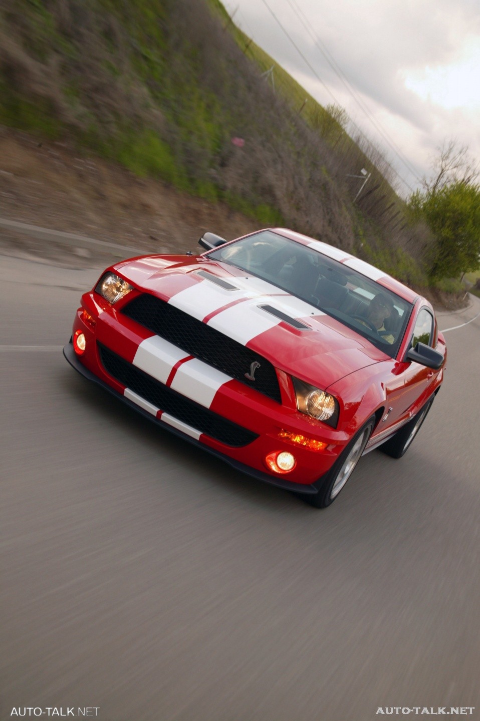 2007 Ford Shelby GT500