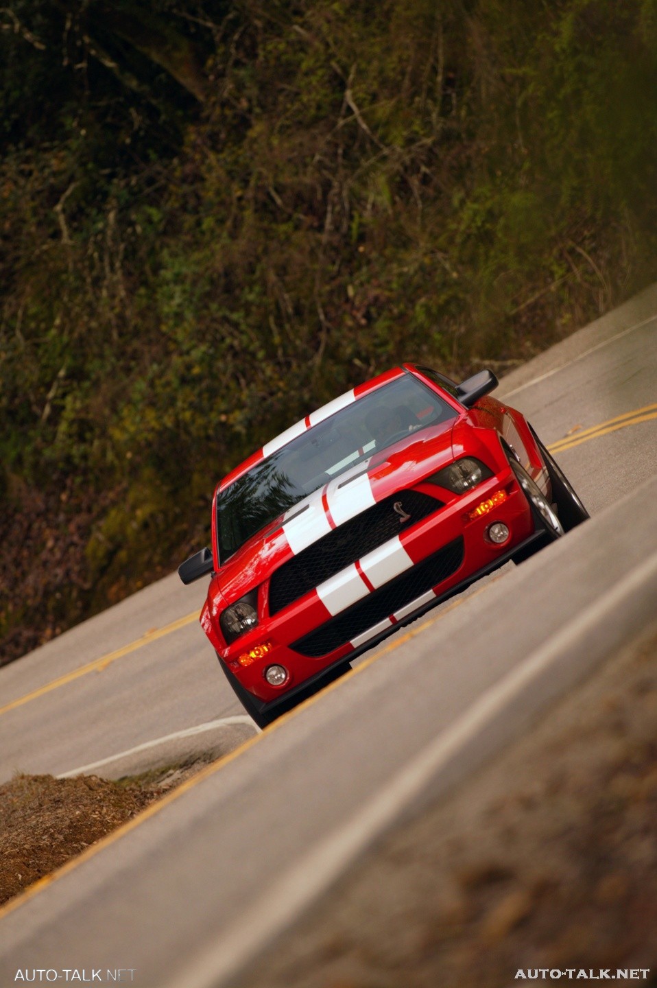 2007 Ford Shelby GT500