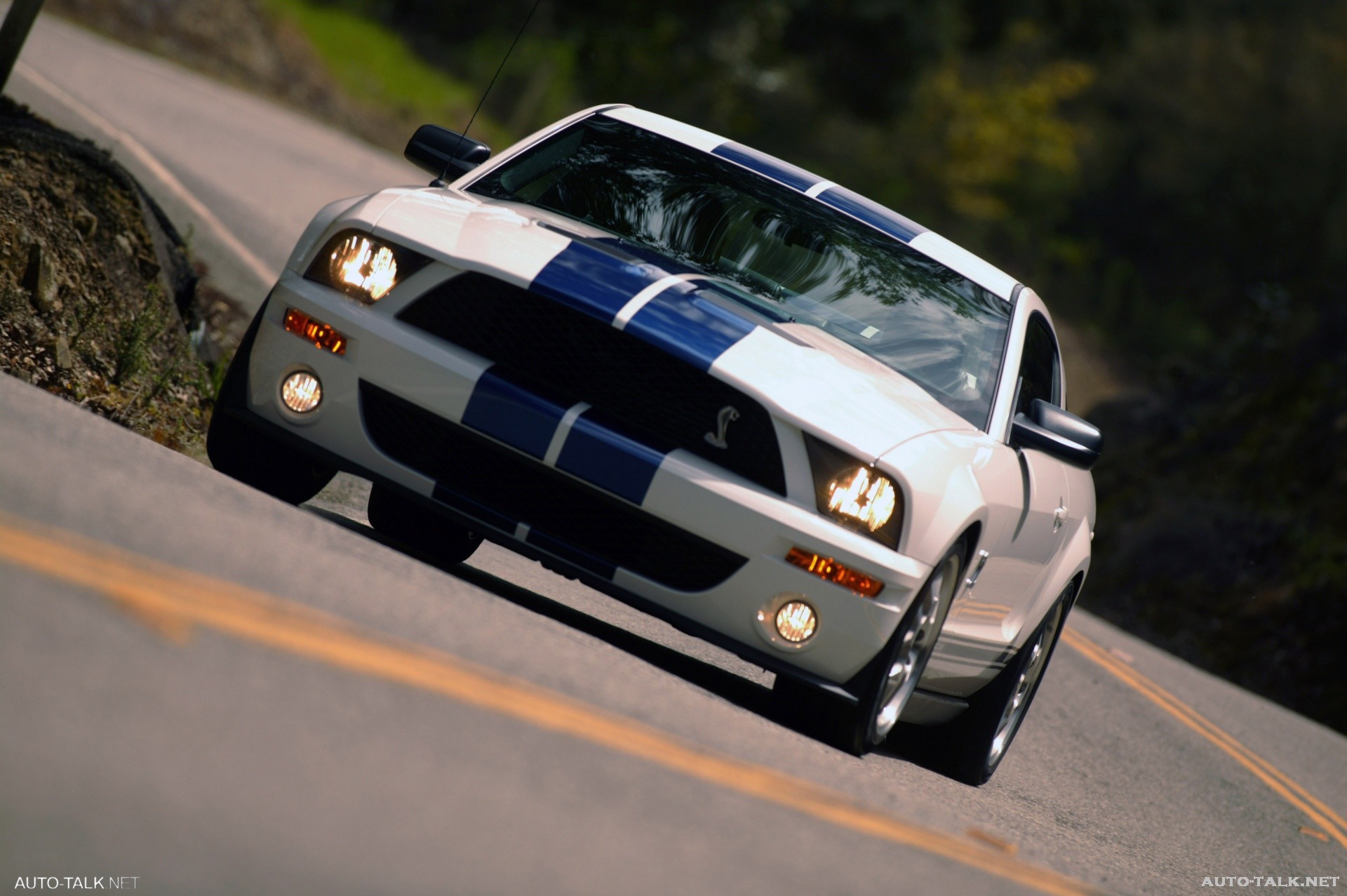 2007 Ford Shelby GT500