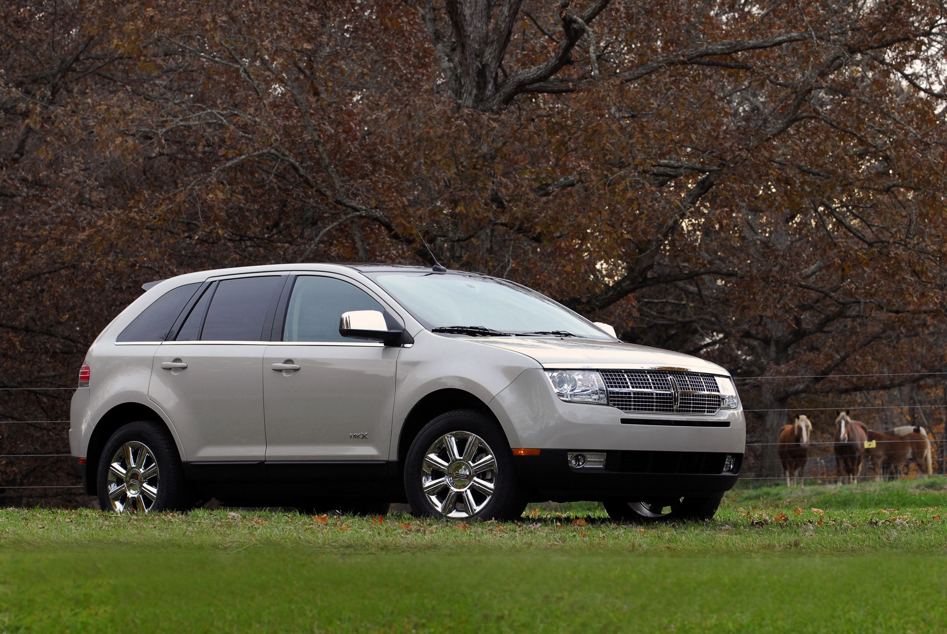 2007 Lincoln MKX