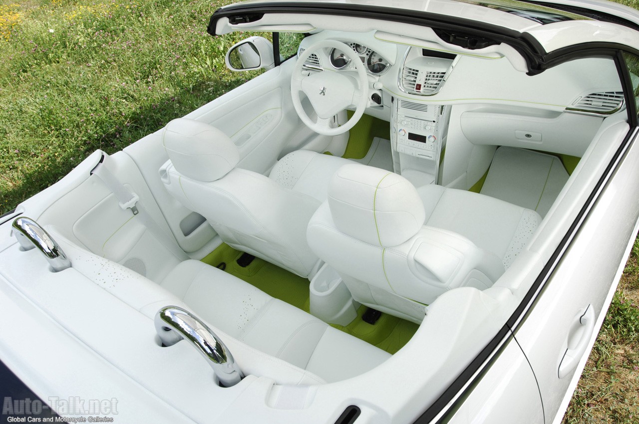 2007 Peugeot 207 EPURE Concept