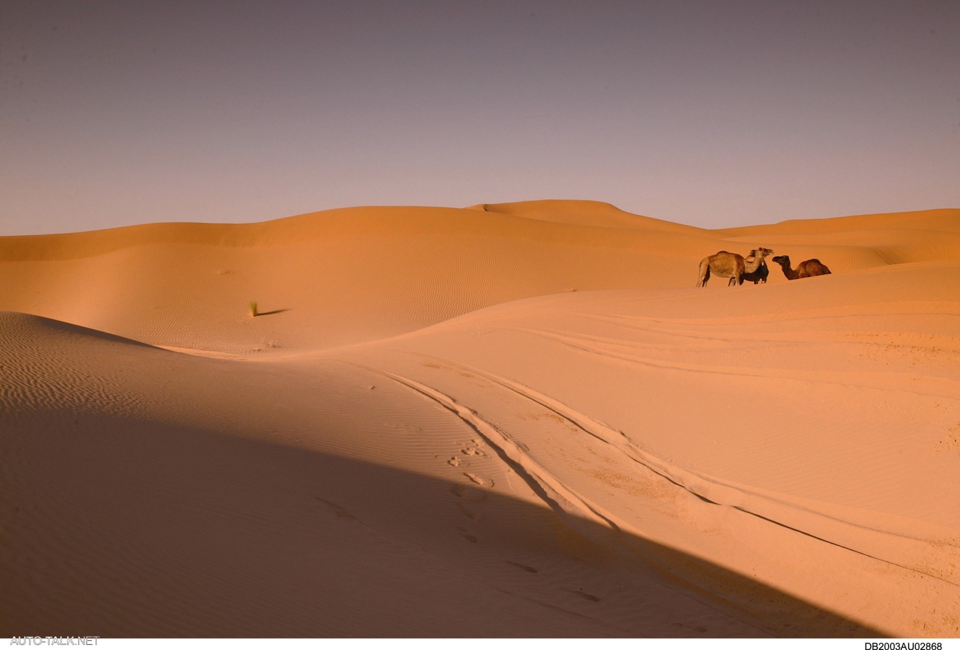 2007 Volkswagen Touareg