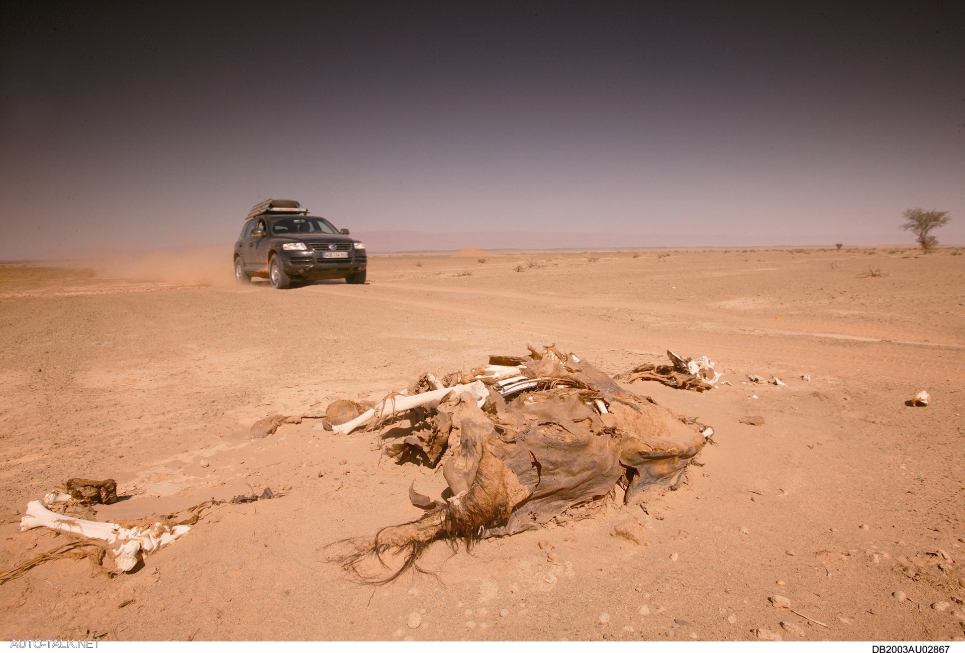 2007 Volkswagen Touareg