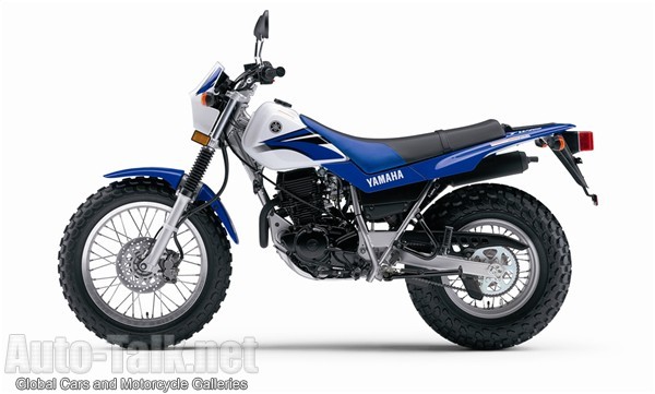 2007 Yamaha TW200