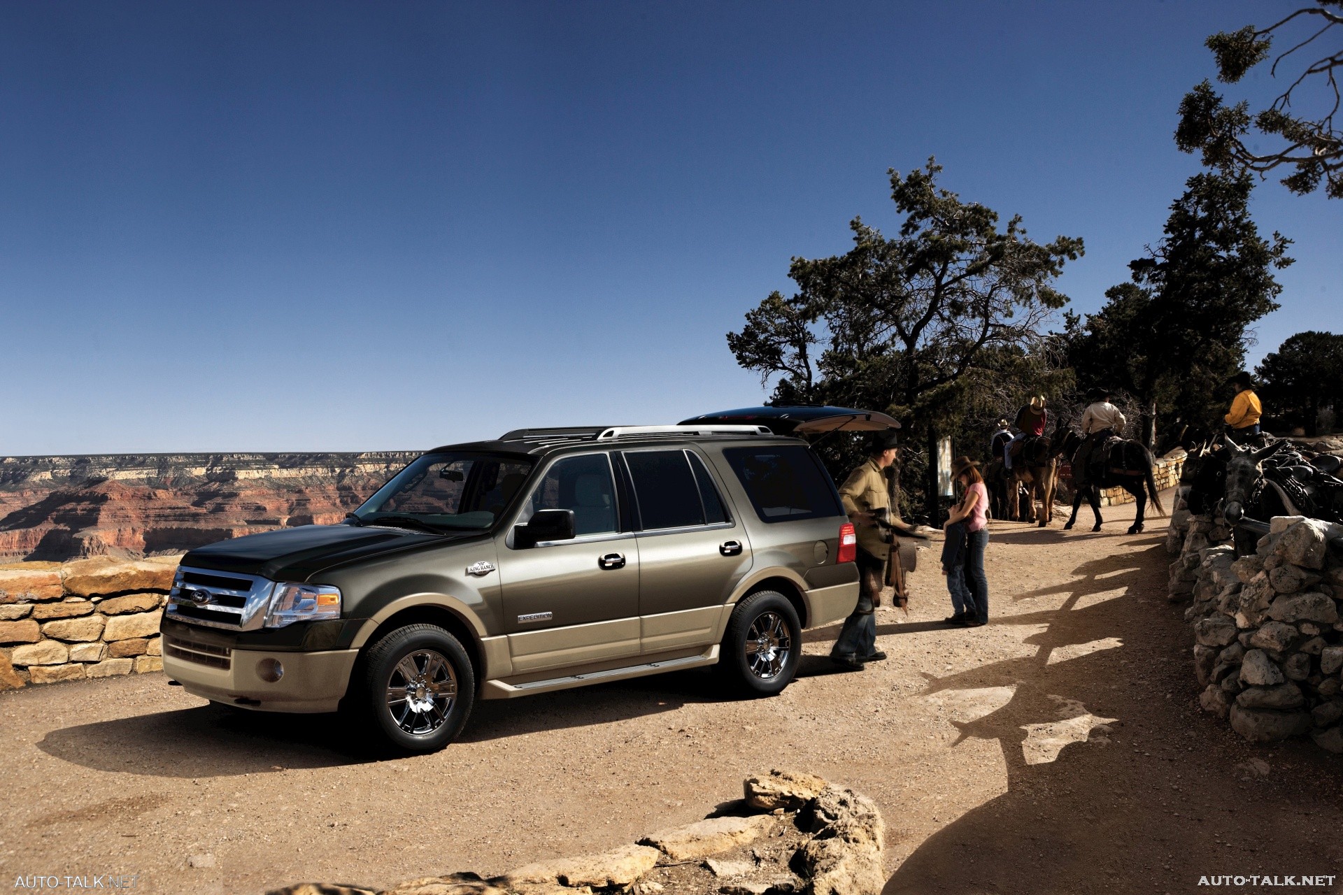 2008 Ford Expedition