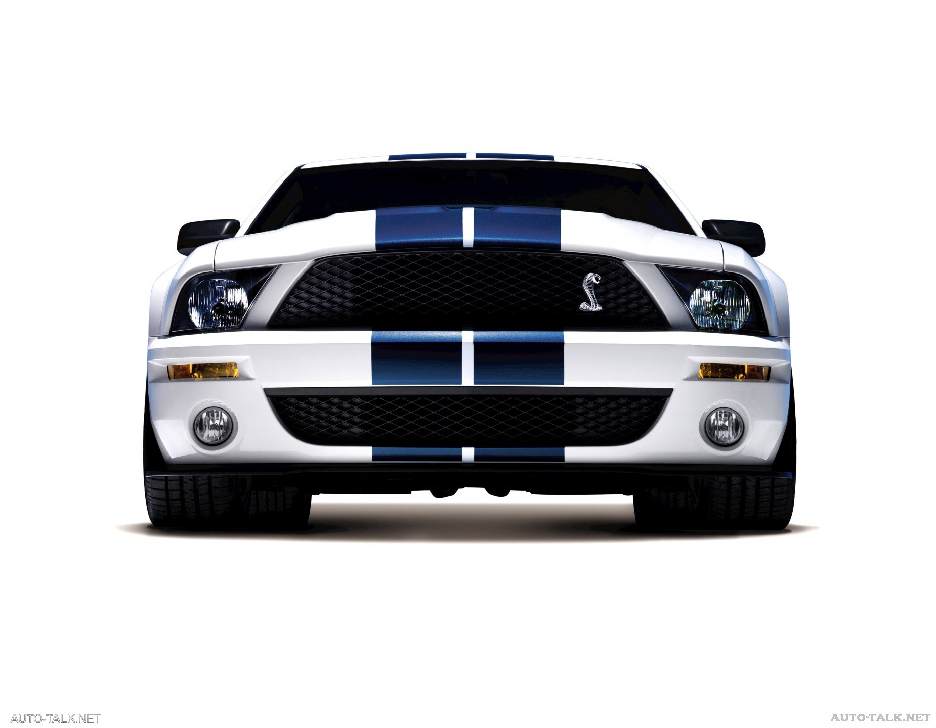 2008 Ford Shelby GT500