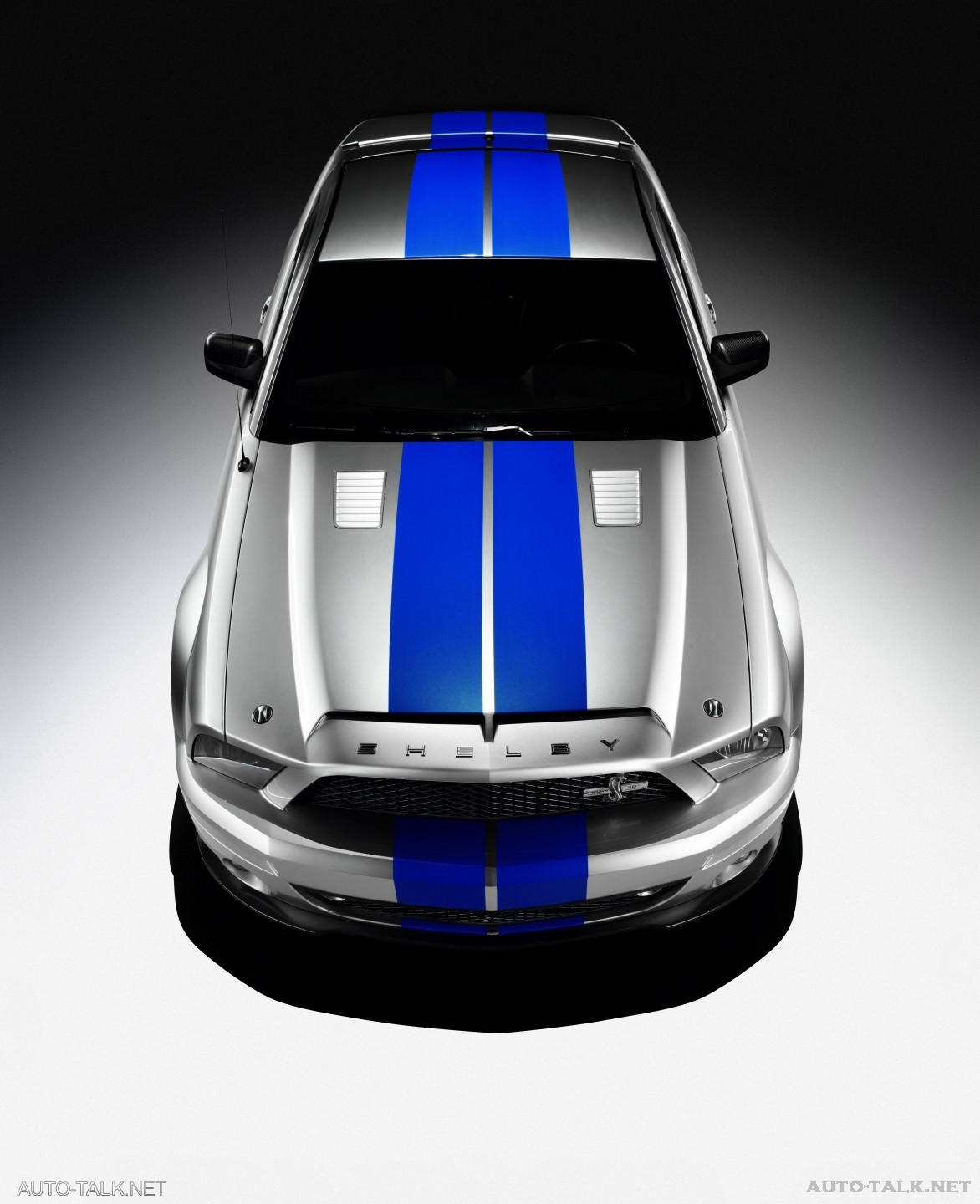 2008 Ford Shelby GT500