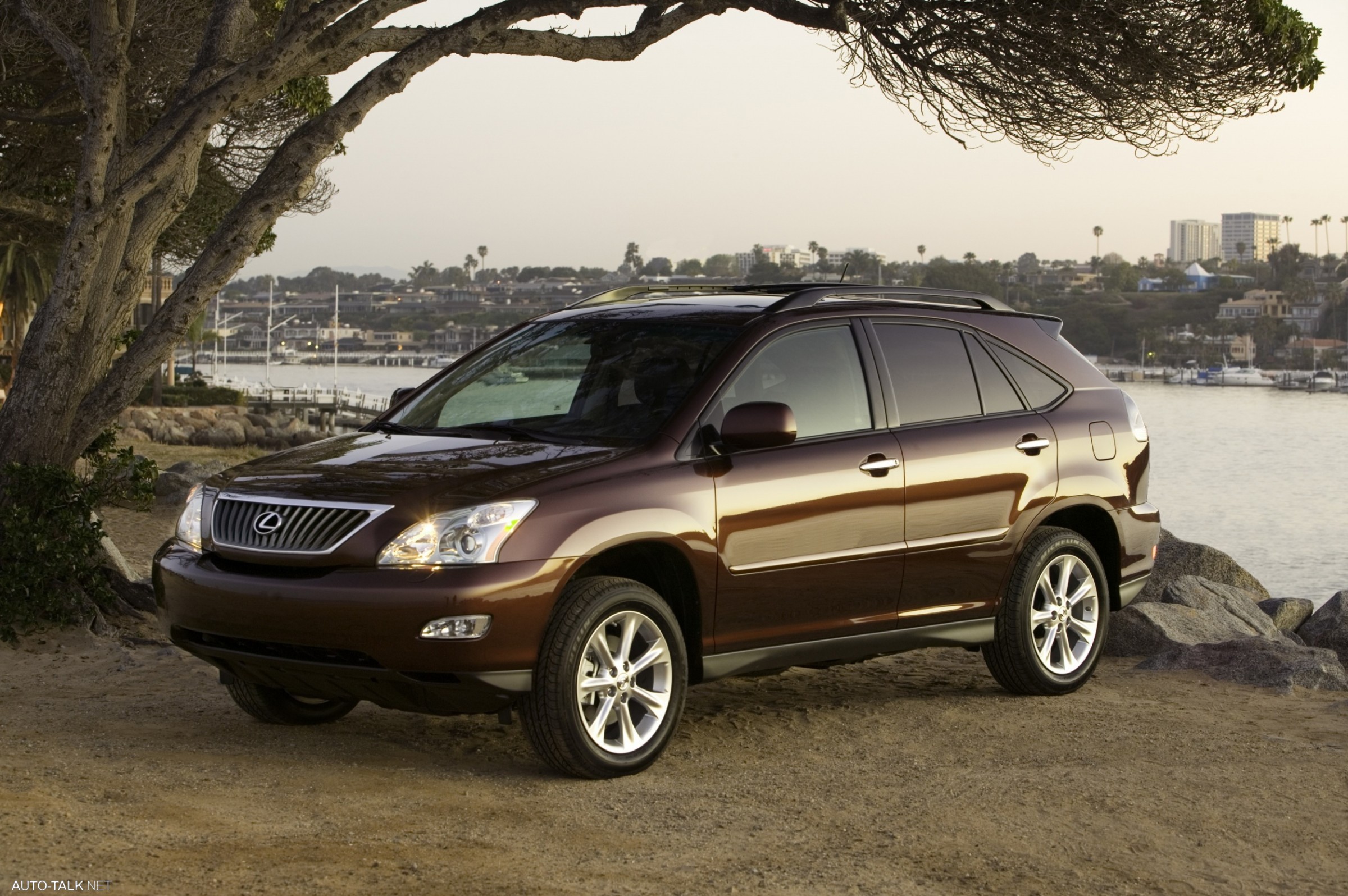 2008 Lexus RX350