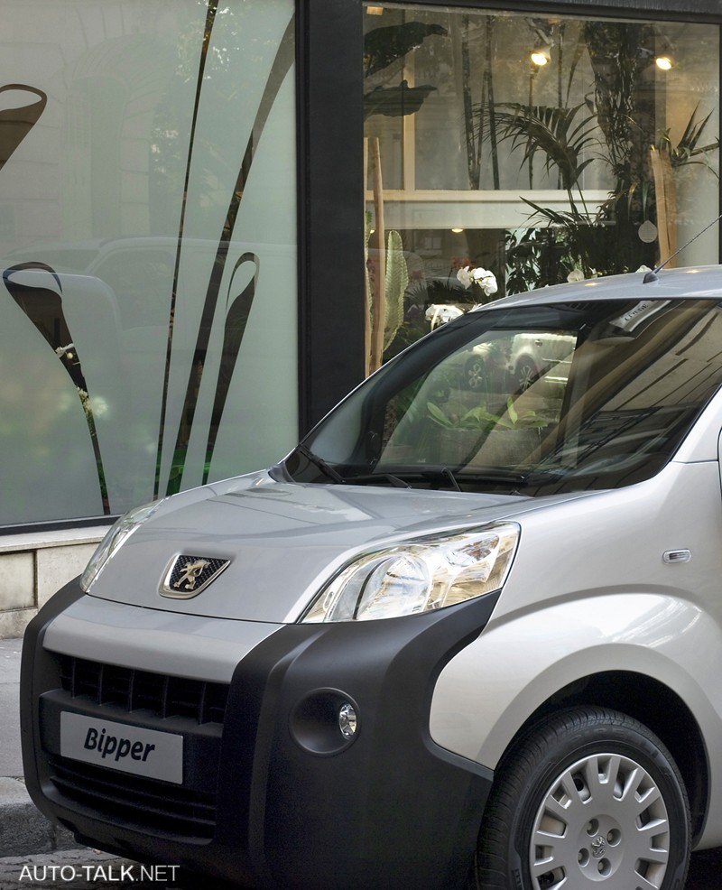 2008 Peugeot Bipper