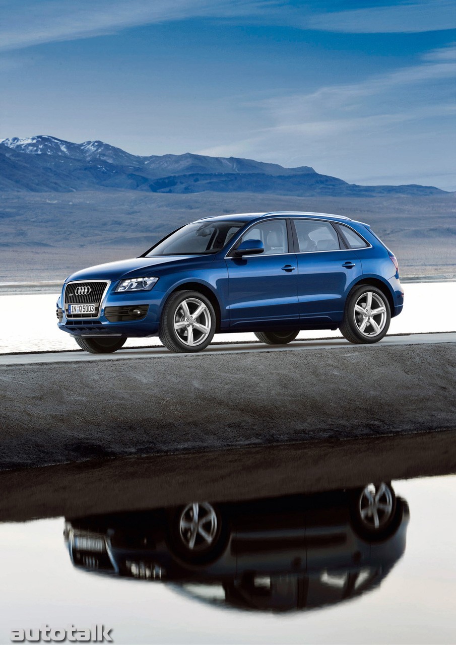 2009 Audi Q5