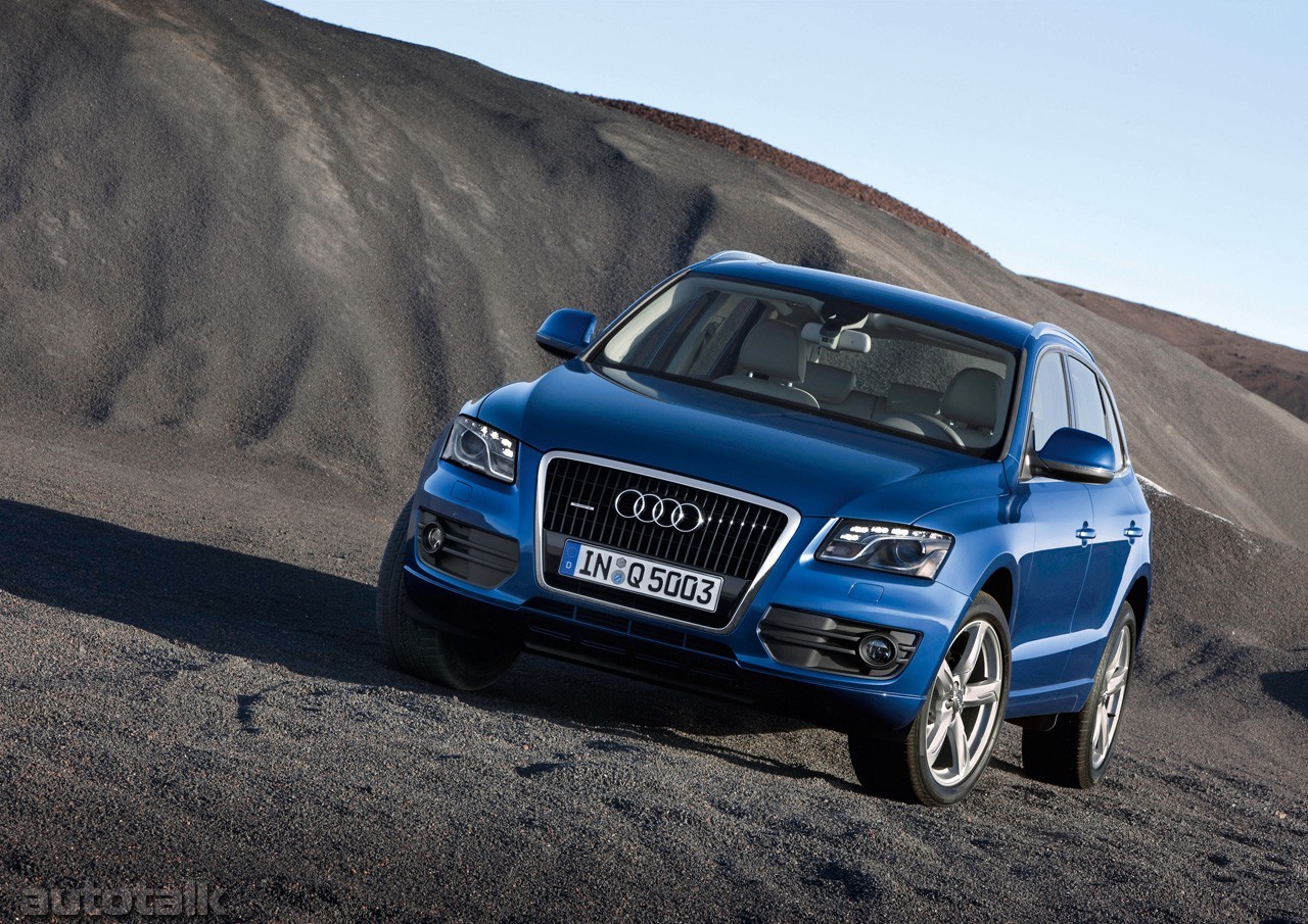 2009 Audi Q5