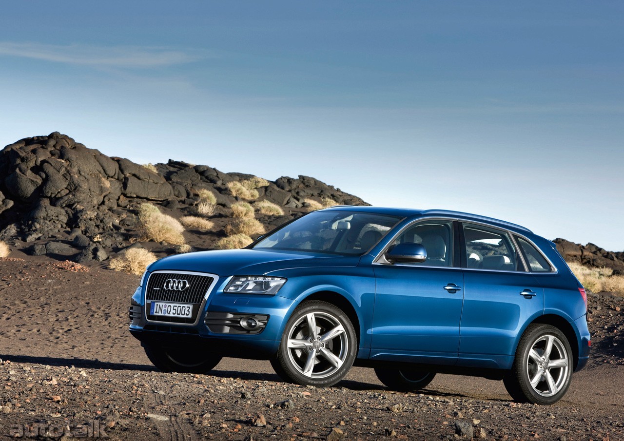 2009 Audi Q5