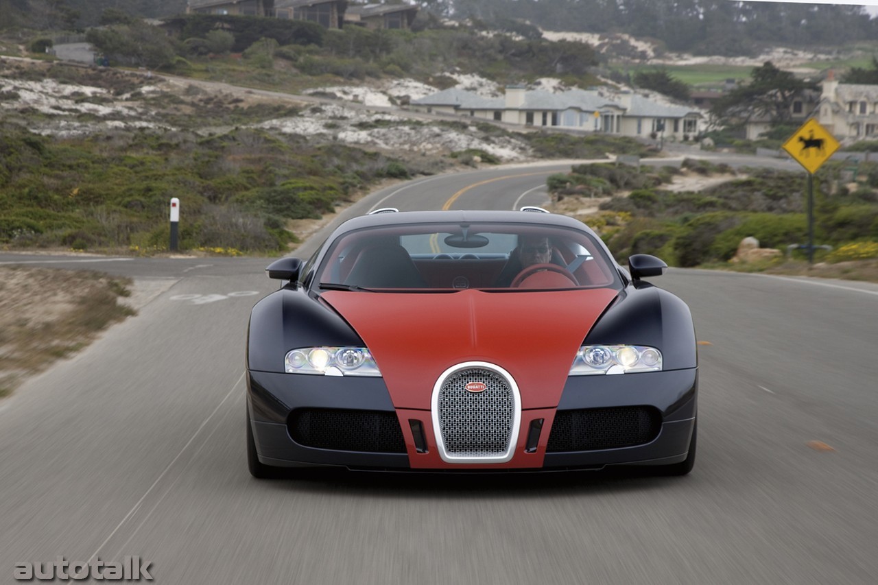 2009 Bugatti Veyron Fbg par Hermes