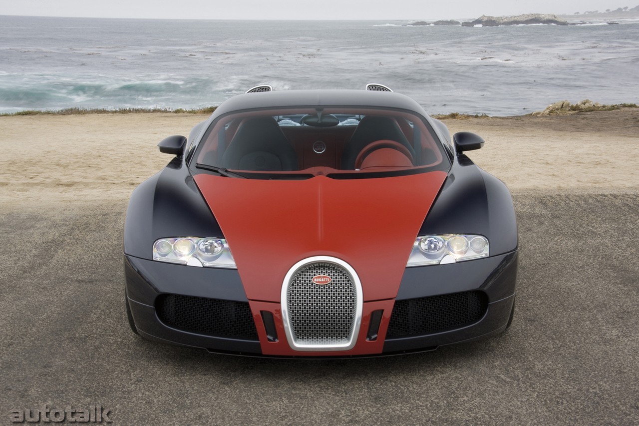 2009 Bugatti Veyron Fbg par Hermes