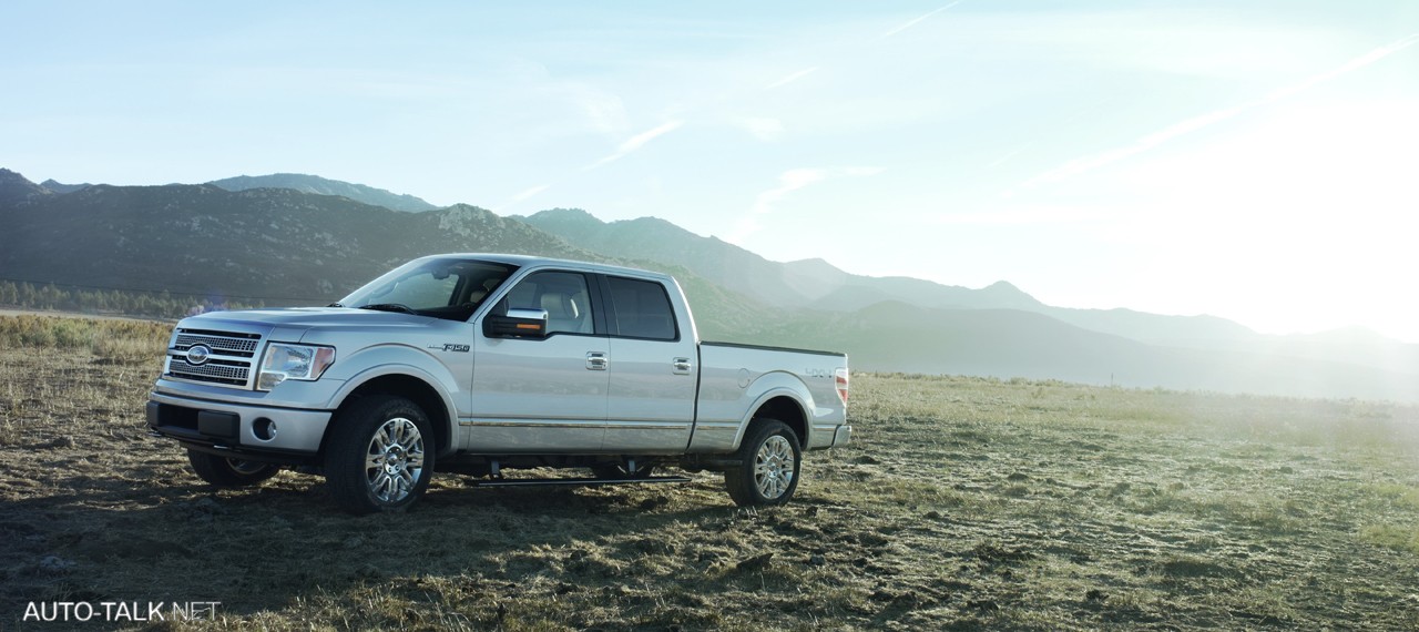 2009 Ford F-150