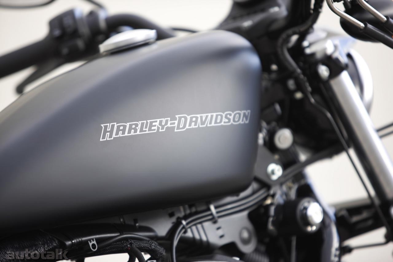 2009 Harley-Davidson Iron 883