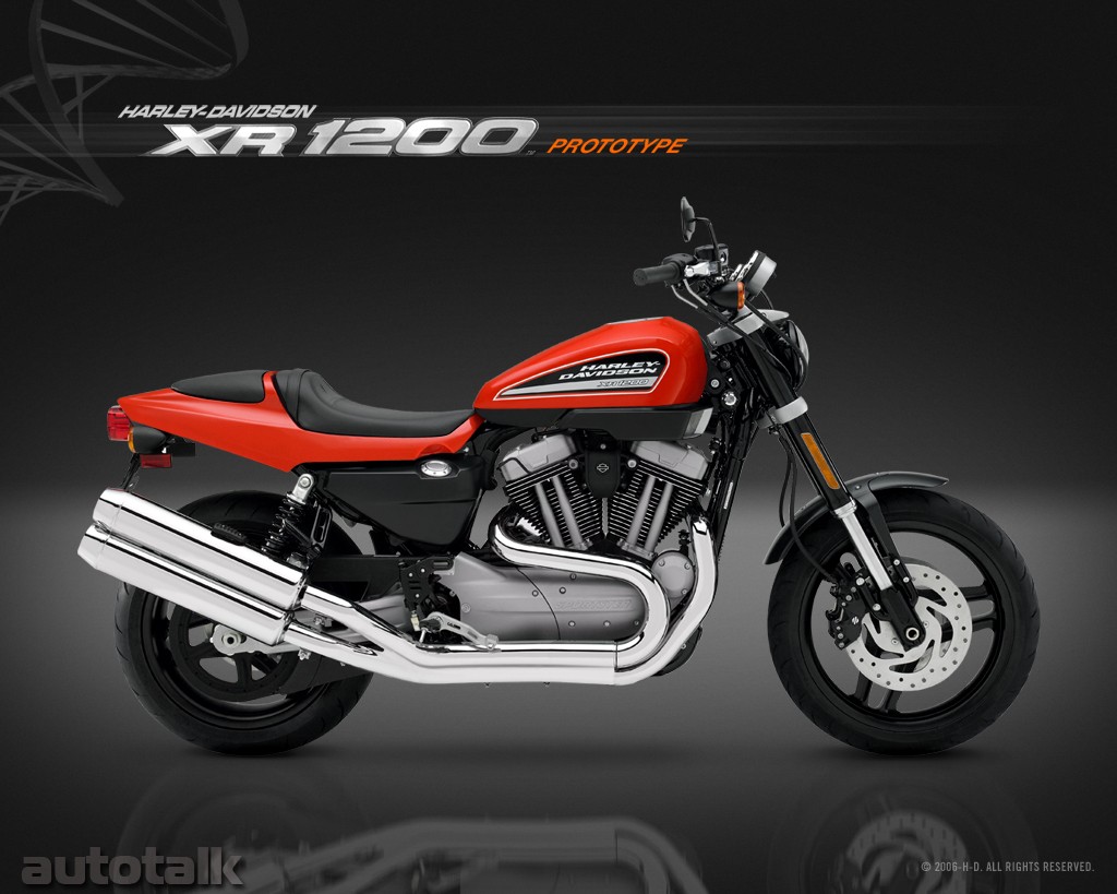 2009 Harley Davidson XR 1200